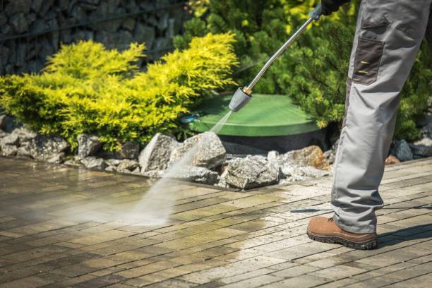 Best Animal Enclosure Cleaning  in Louisvle, IL