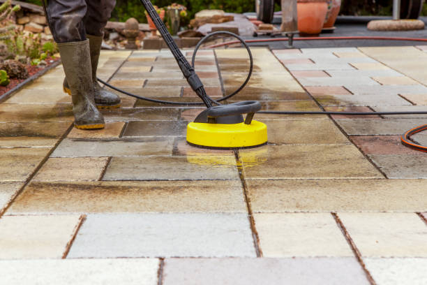 Animal Enclosure Cleaning in Louisville, IL